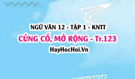Soạn bài Củng cố, mở rộng trang 123 Ngữ văn lớp 12 tập 1 Kết nối tri thức